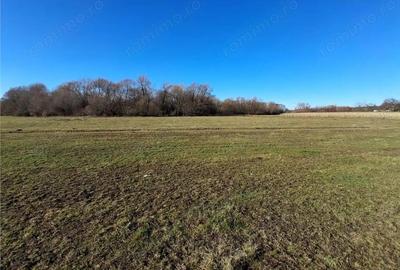 Teren intravilan 14780 mp, comision 0%, inTopolita, Neamt, pretabil afacere - 5