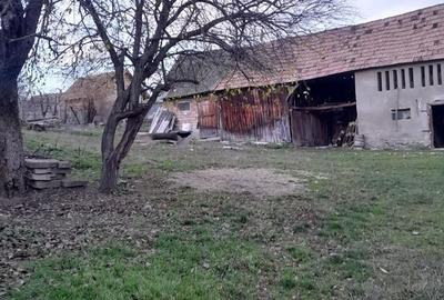 Casă cu Teren 1200 Mp în Mândra