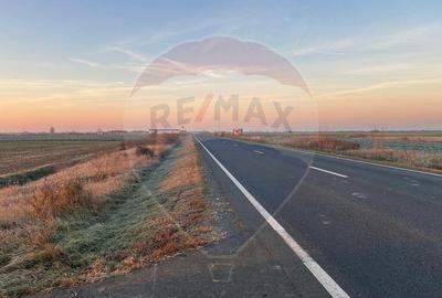 Teren 17,400mp Ciumeghiu / Drumul DN79 - 3