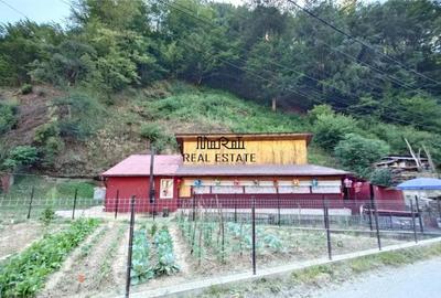 Casă cu 2 camere cu Teren 307 Mp în Criș - 2