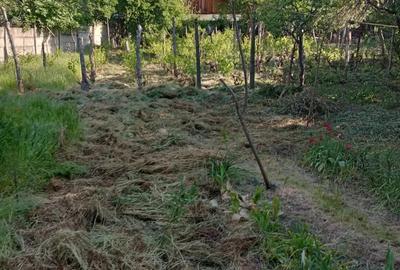 Casa de vanzare 3 camere Casa de vanzare 3 camere - 11