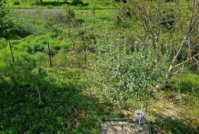 Cornetu,Vila de vinzare, - 1