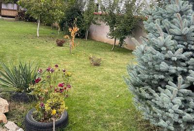 Casă în Adjudu Vechi - 2