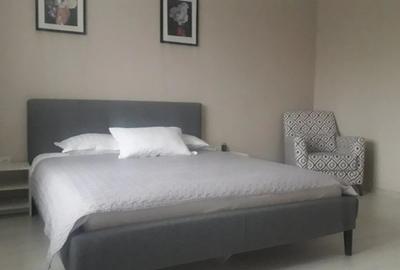 Timpuri Noi-Nerva Traian - 3