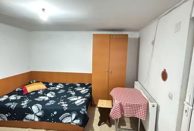 Garsonieră în Tunari - 3