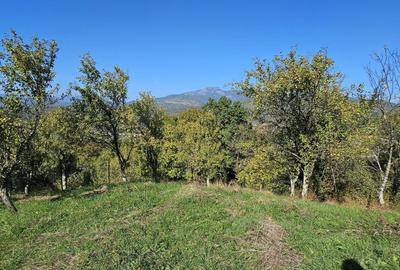 Spațiu comercial, în Central