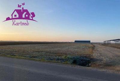 Parcele de teren industrial pentru diferite activitati economice - 2