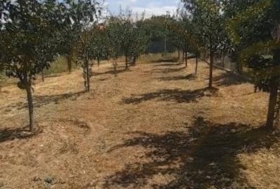 0% Comision - 2095 mp TEREN INTRAVILAN - SERBOENI ARGES - 3