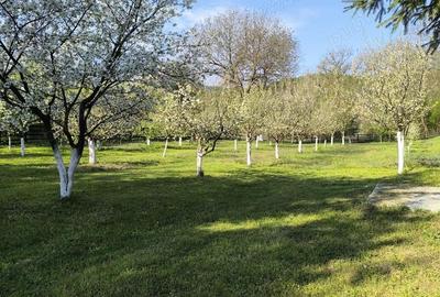 Casă cu 5 camere cu Teren 2100 Mp în Mălureni - 1