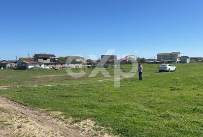 Teren agricol extravilan de 400 mp, în Costinești - 3