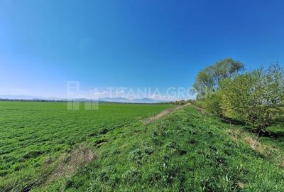 Teren agricol extravilan de 8700 mp, în Bod - 2