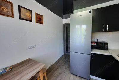 Apartament cu 1 camera in zona Cetatii - 3