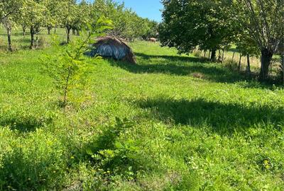 Casă cu 6 camere cu Teren 1900 Mp în Vălenii de Munte - 1