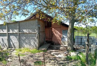 Casă cu 2 camere în Rălești - 5