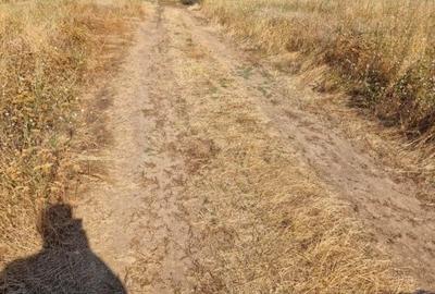 Teren de 505 mp, în Exterior Vest - 8