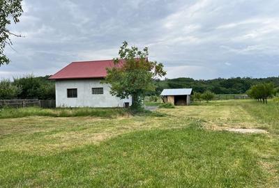 Casă cu 3 camere cu Teren 8774 Mp în Albota - 4