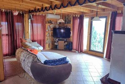 Cabana de lemn in zona turistica Bihor - 2