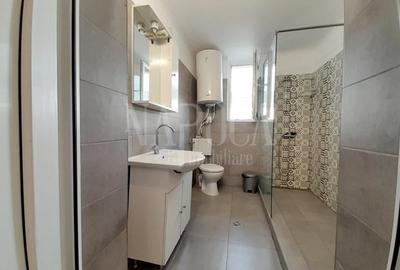 Casa 7 camere de vanzare in Baile Felix - 7