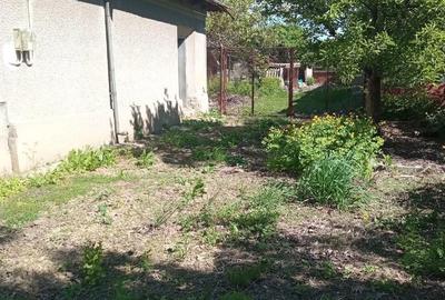 Casă cu 3 camere cu Teren 2588 Mp în Suhaia - 2