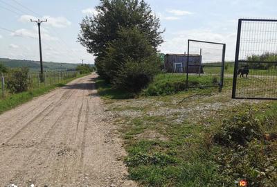 Teren de 665 mp, în Roșia - 3