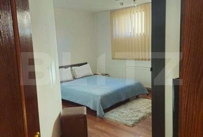 Oportunitate Unica Vila de Vis in Zona Centrala si doua spatii comerciale - 14