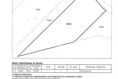 Teren Intravilan - Viisoara - 12