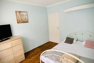 Apartament cu 2 camere decomandat, mobilat în Rovine - 4