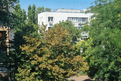 Apartament 2 camere - Dristor - 10