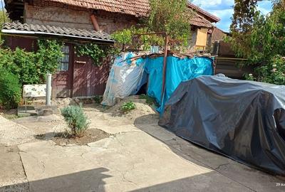 Casă cu 2 camere în Central - 3