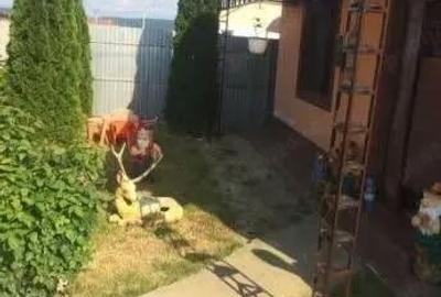 Casă cu Teren 1000 Mp în Câmpu Mare - 10