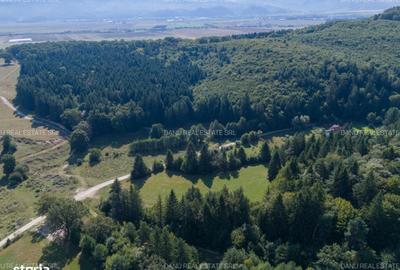 Spațiu comercial, în Vulcan - 15