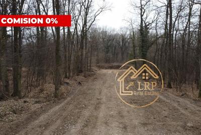 Dragomiresti Vale-Padure-teren intravilan, certificat urbanism 2025 - 13