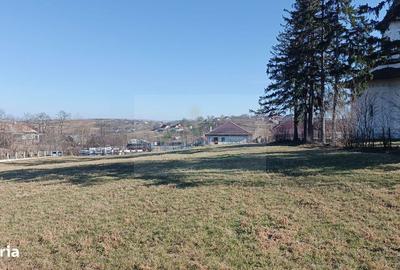 Spațiu comercial, în Brusturi - 3