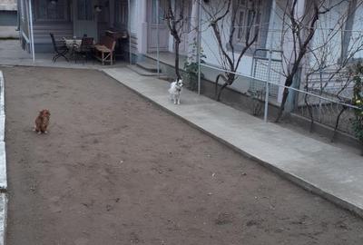 Casă cu 4 camere în Drăgănești - 3