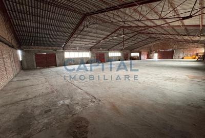 Comision 0%! Teren  de vanzare  38245 mp+ constructii 3400 mp - 10