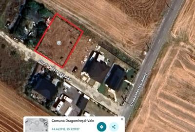 Vând teren intravilan Dragomirești-Vale Ilfov - 1