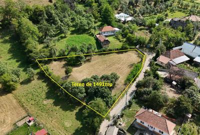 Teren Construcții intravilan de 1491 mp, în Plopu (Dărmănești) - 1