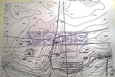 VANZARE TEREN INTRAVILAN LANGA PADUREA SAFTICA - 2