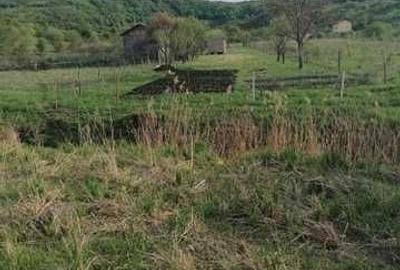 Teren de 1100 mp, în Florești - 1