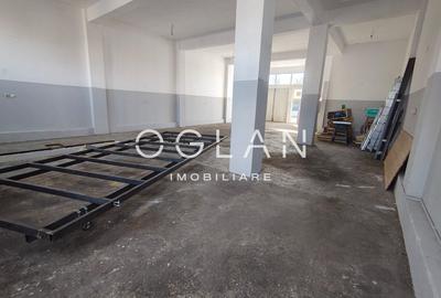Spatiu comercial 450 mp (P+E)- zona Terezian - 4