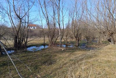 Teren Construcții intravilan de 5967 mp, în Bran - 3