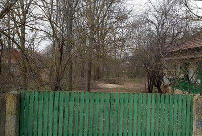 Casă individuală cu 2 camere cu Teren 1243 Mp în Ciolăneștii din Deal - 2