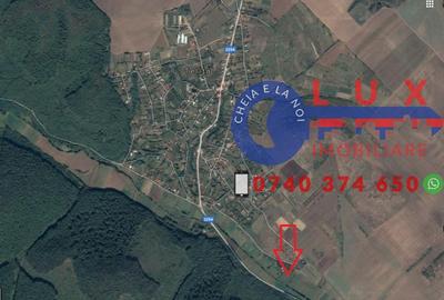 Teren de 10855 mp, în Telița - 2