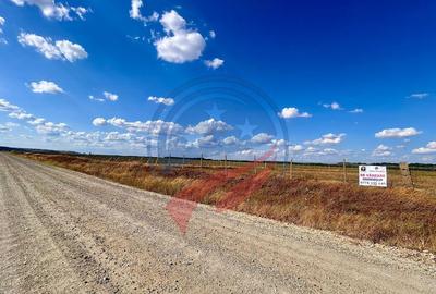 Teren 30.500 mp de vanzare in Livezi, Dolj - 5