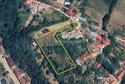 Teren de 2500 mp, în Vest - 9