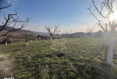 Teren de 3100 mp, în Nimigea - 4