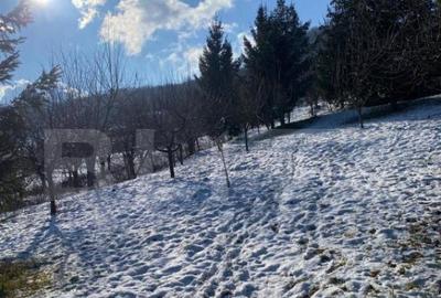 Teren intravila de vanzare, 1.100 mp, in Bistri?a, pe str - 19