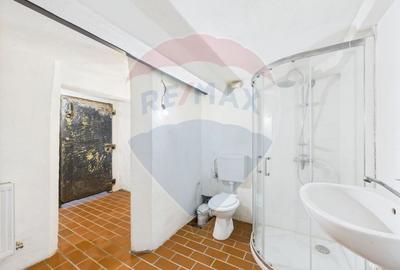 Spatiu comercial-Demisol-Atelier de arta - 6
