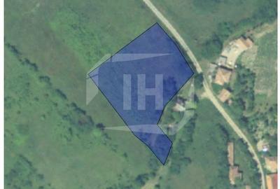 Teren intravilan, 2900 mp, 40 ml front, zona Corpadea - 2