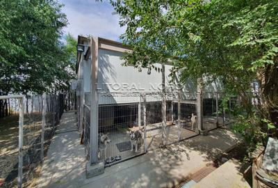 Exclusivitate-Ovidiu-Pet Hotel, 220 mp utili,teren intravilan 1.417mp,utilitati - 13